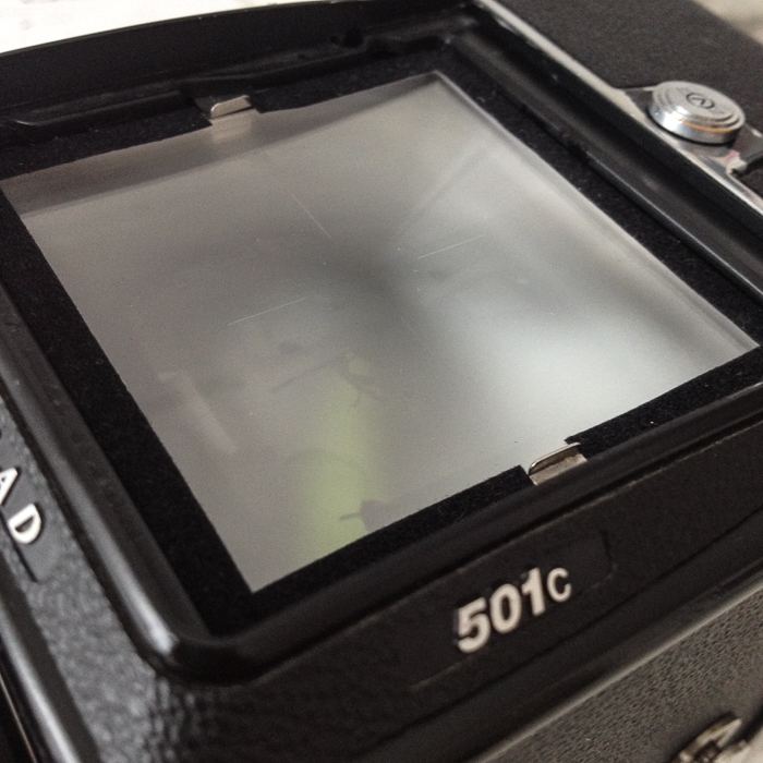 crop viewfinder